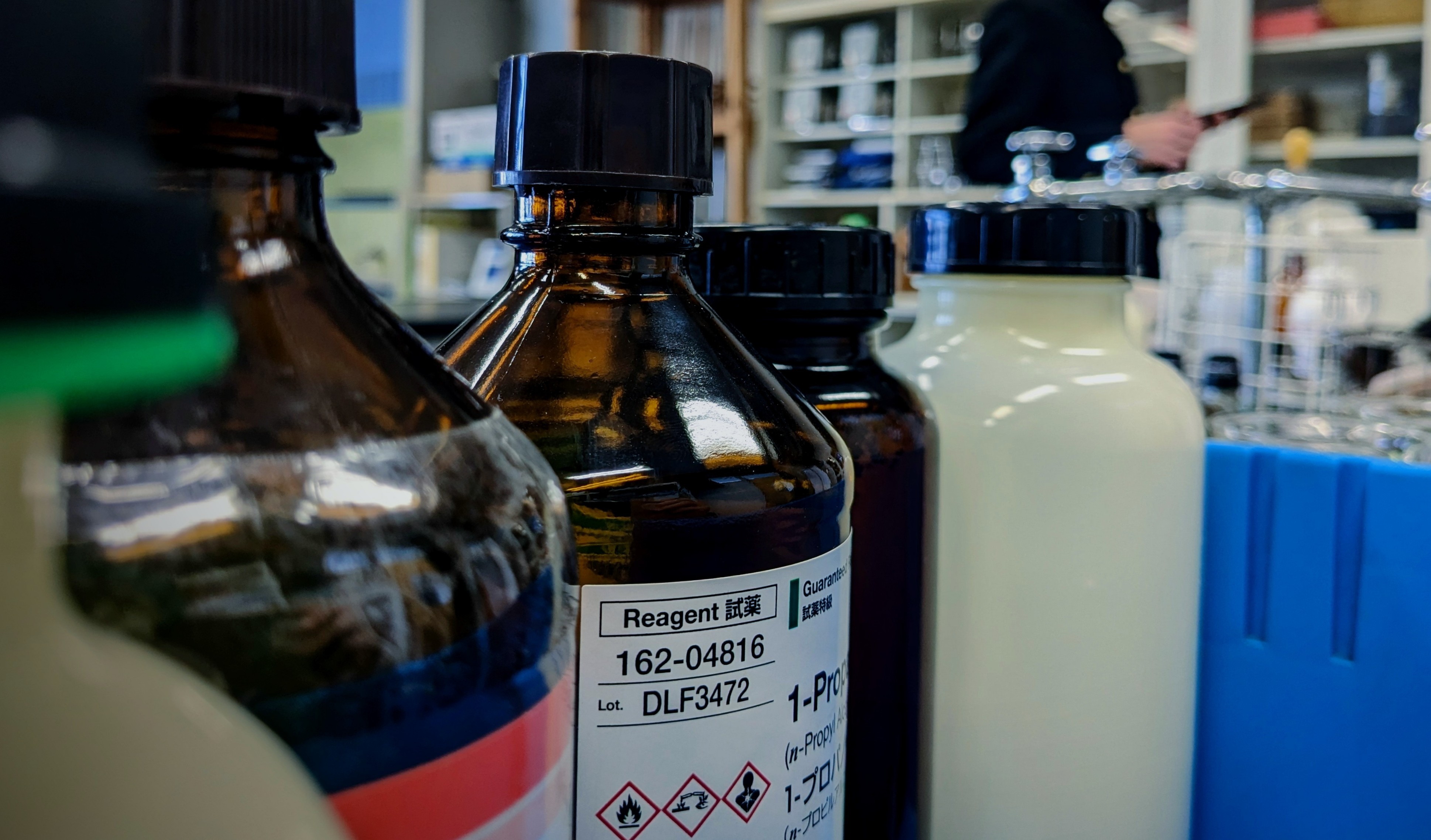 物理化学部の活動風景